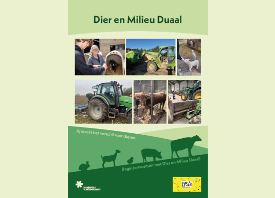 Schermafbeelding 2025-02-20 162201